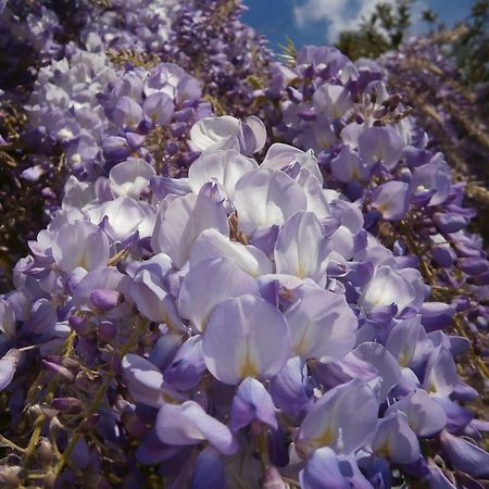 מלון Corsept Manoir De L'Esperance מראה חיצוני תמונה